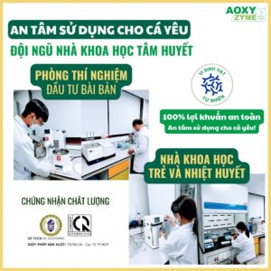 Vi sinh Aoxyzyme nước trong, cá khỏe, ức chế rêu tảo - Ảnh 3