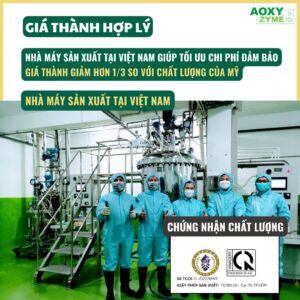 Vi sinh Aoxyzyme nước trong, cá khỏe, ức chế rêu tảo - Ảnh 4