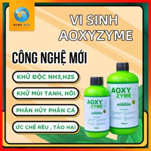 vi sinh aoxyzyme