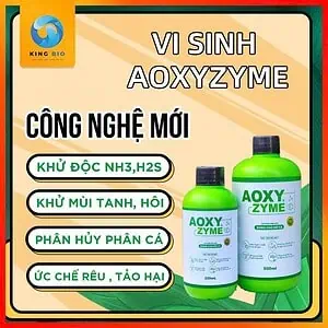 vi sinh aoxyzyme