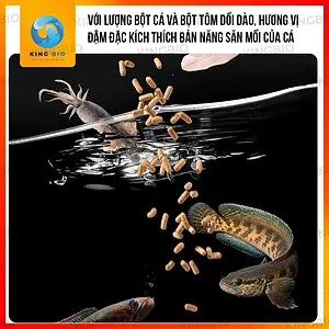 Cám cá lóc cảnh Yee thức ăn cân bằng dinh dưỡng hỗ trợ tăng màu cho cá lóc cảnh - Ảnh 3
