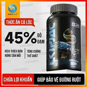 Cám cá lóc cảnh Yee