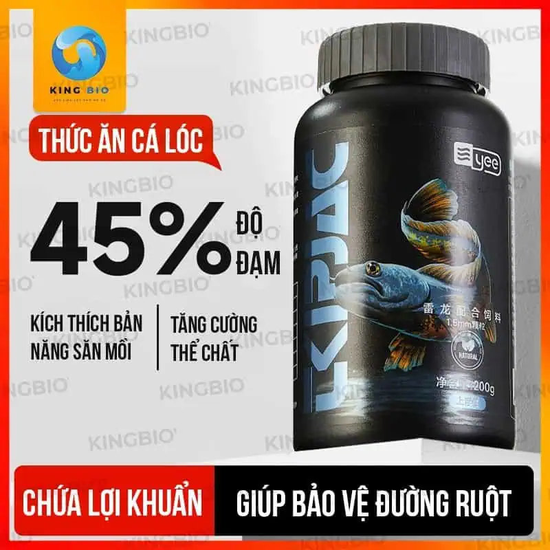 Cám cho cá lóc cảnh Yee Cám cá lóc cảnh Yee