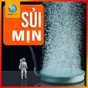 Đĩa sũi oxy mịn Yee