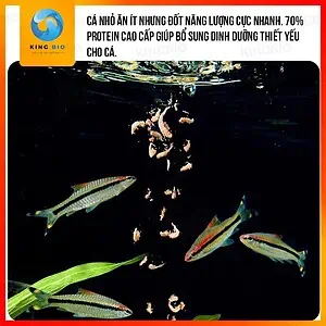 Tôm đỏ đông khô Yee Krill thức ăn dinh dưỡng cho cá cảnh và rùa - Ảnh 3