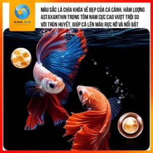 Tôm đỏ đông khô Yee Krill thức ăn dinh dưỡng cho cá cảnh và rùa - Ảnh 5