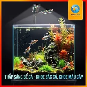 Đèn led kẹp usb Zhiyang cho hồ cá - chiếu sáng đẹp, tuỳ chỉnh linh hoạt, hỗ trợ thuỷ sinh - Ảnh 5
