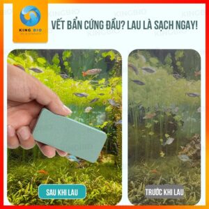 Miếng tẩy cặn canxi cho hồ cá – Vệ sinh kính hồ cá, tẩy canxi không lo trầy xước - Ảnh 3