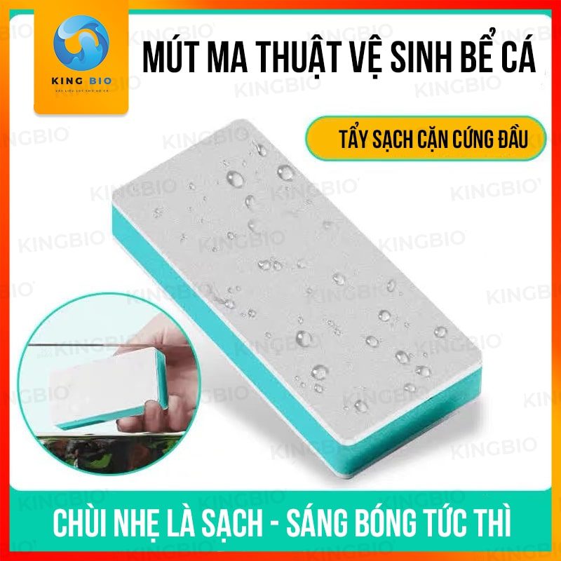 miếng tẩy cặn bể cá miếng tẩy cặn canxi hồ cá