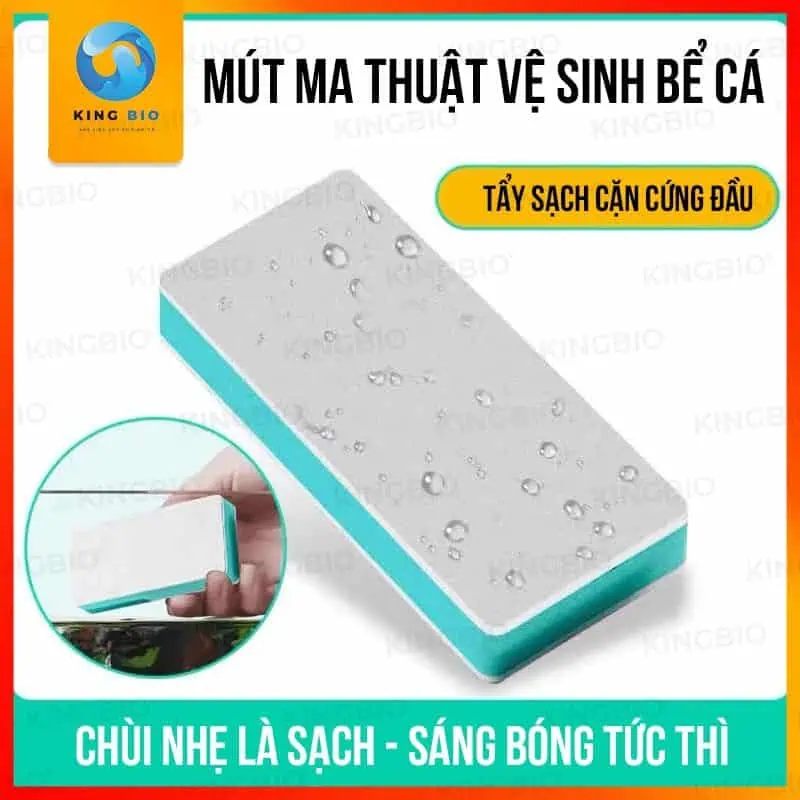 miếng tẩy cặn bể cá miếng tẩy cặn canxi hồ cá
