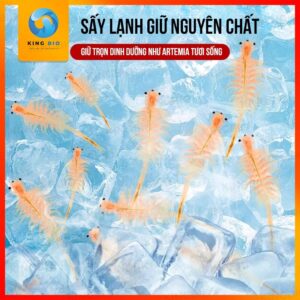 Artemia sinh khối đông khô Voonline thức ăn giàu đạm cho cá cảnh - Ảnh 3