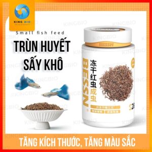 trùng huyết đông khô Bessn