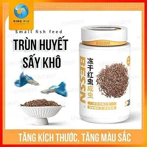 trùng huyết đông khô Bessn