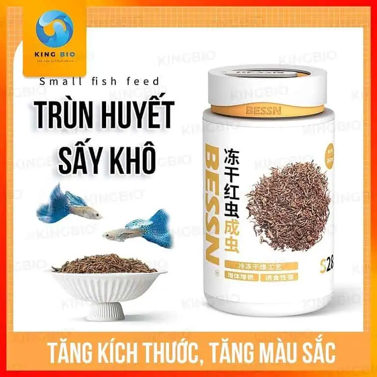trùng huyết đông khô Bessn