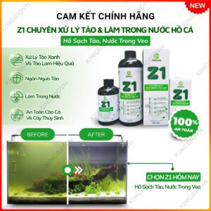 chế phẩm sinh học xử lý rêu hồ cá z1 zenkoi