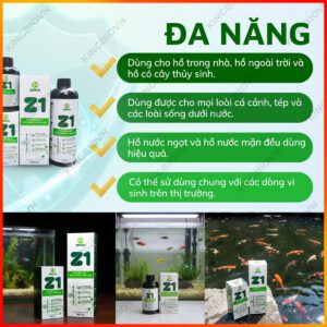 Chế phẩm sinh học xử lý rêu tảo hồ cá Z1 Zenkoi - Ảnh 5