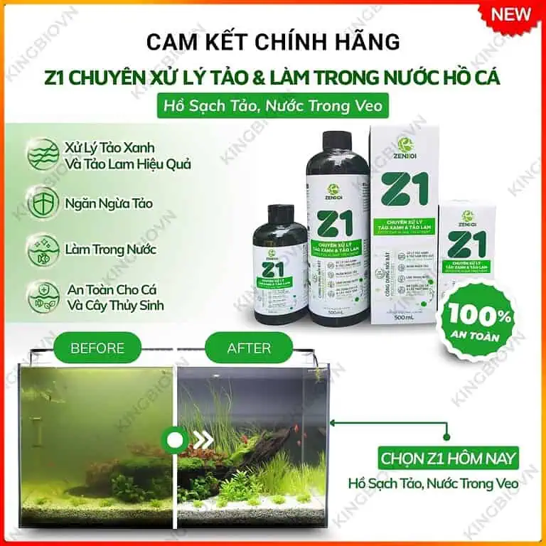 chế phẩm sinh học xử lý rêu hồ cá z1 zenkoi